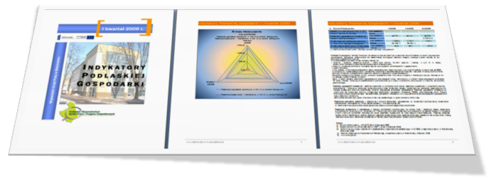 Indykatory Podlaskiej Gospodarki - I kwartał 2009